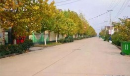 萧县论坛最新爆料房子,最新楼盘动态，揭秘热门房产项目详情